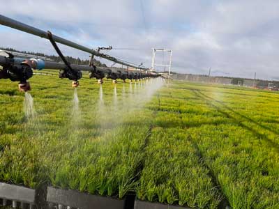 sistema de riego automatizado sobre una plantacion